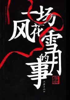 海岩：一场风花雪月的事小说封面